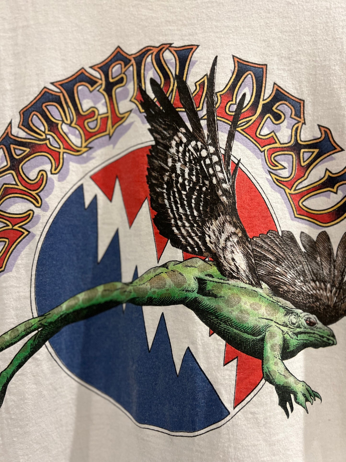 1995 Grateful Dead Flying Frog Vintage Band T-Shirt (L)