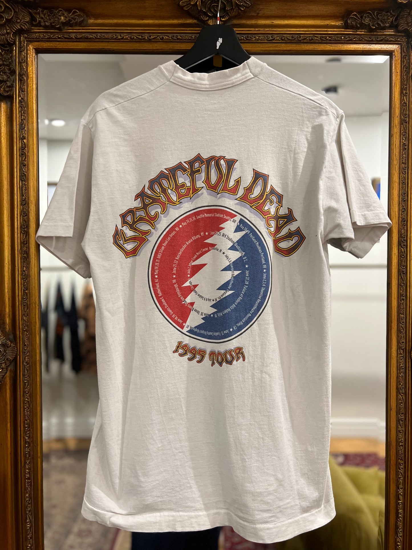 1995 Grateful Dead Flying Frog Vintage Band T-Shirt (L)