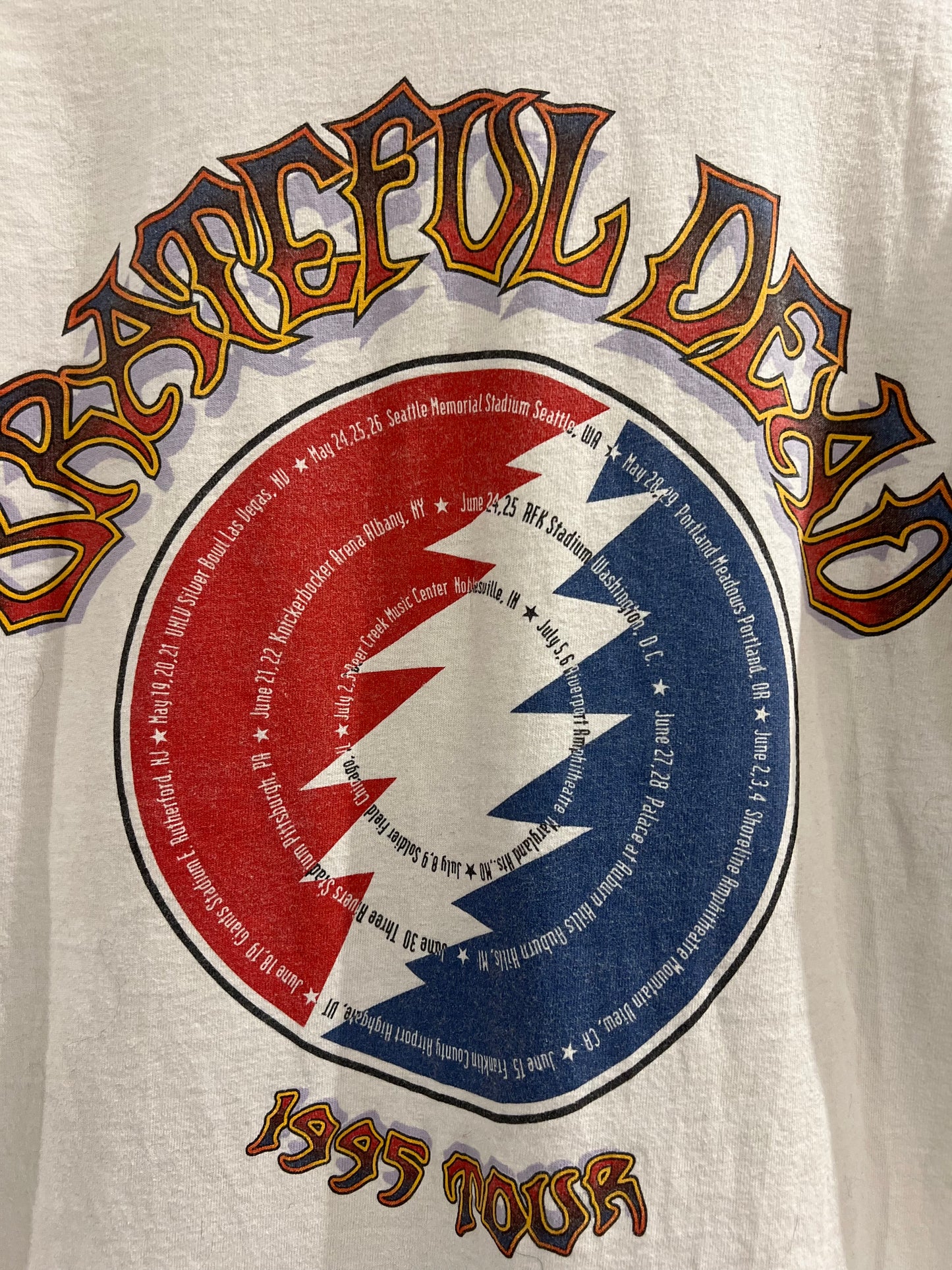 1995 Grateful Dead Flying Frog Vintage Band T-Shirt (L)