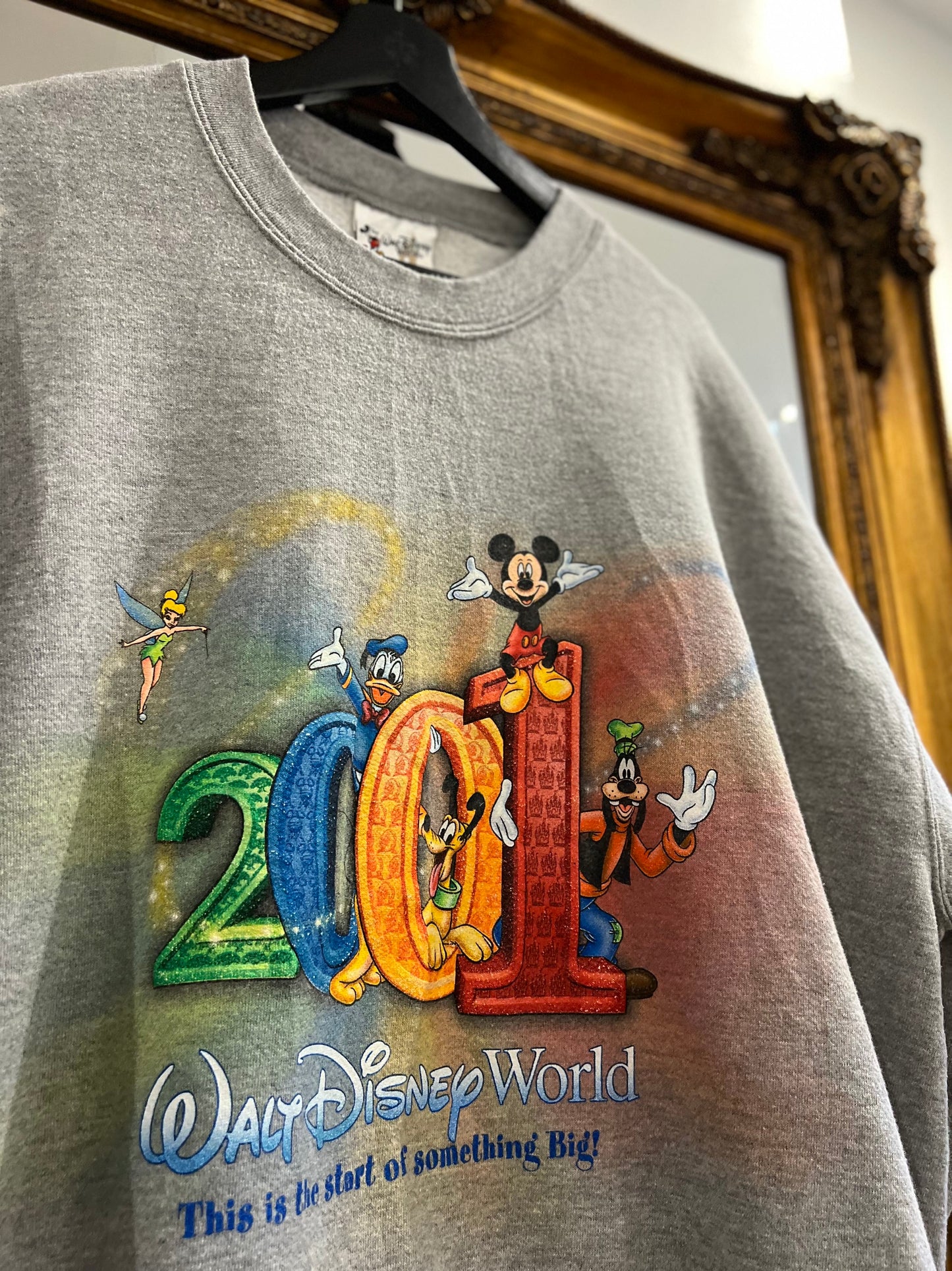 Vintage 2001 Disney World Crewneck (XXL)