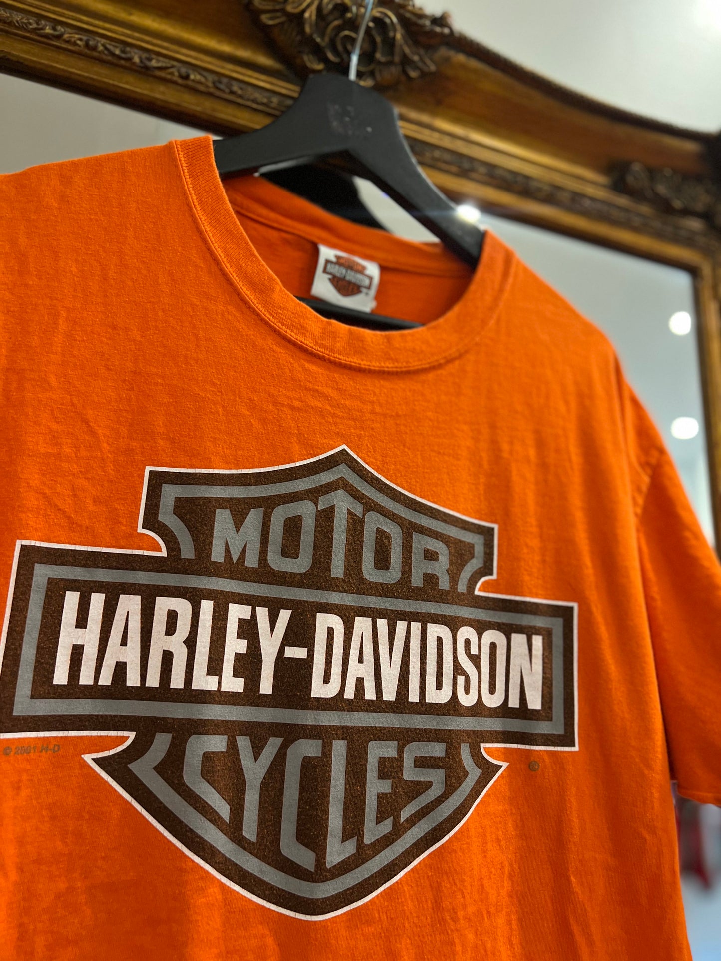 Vintage Harley Davidson T-Shirt (L)