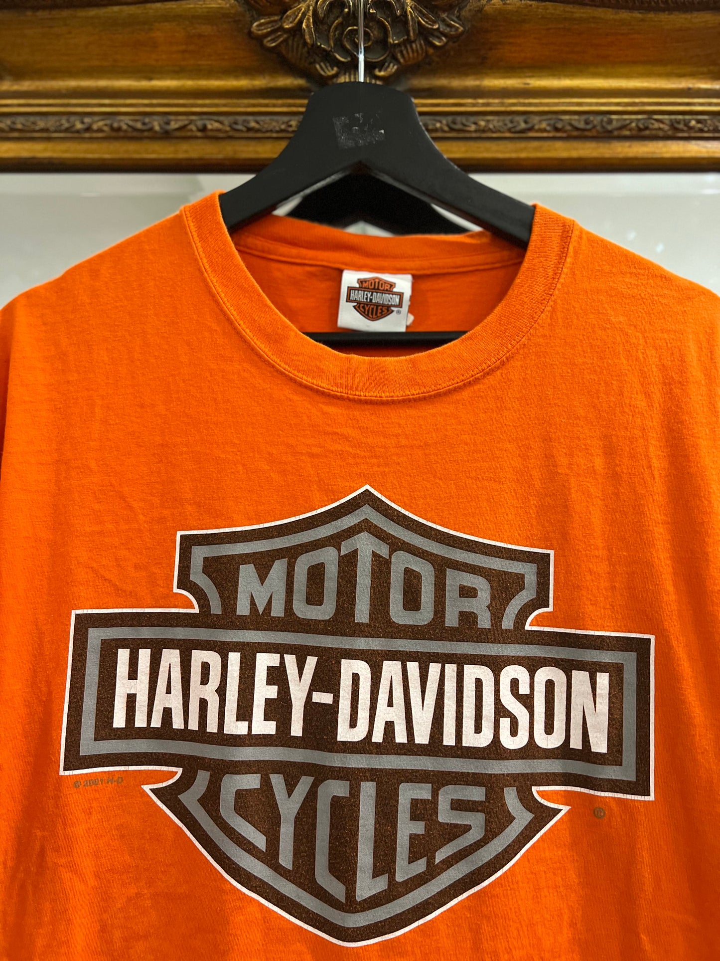 Vintage Harley Davidson T-Shirt (L)