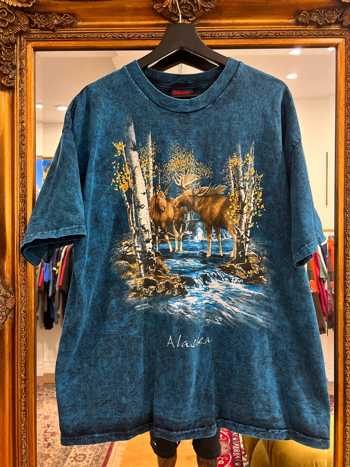 Vintage 90's Alaska T-Shirt (XL)