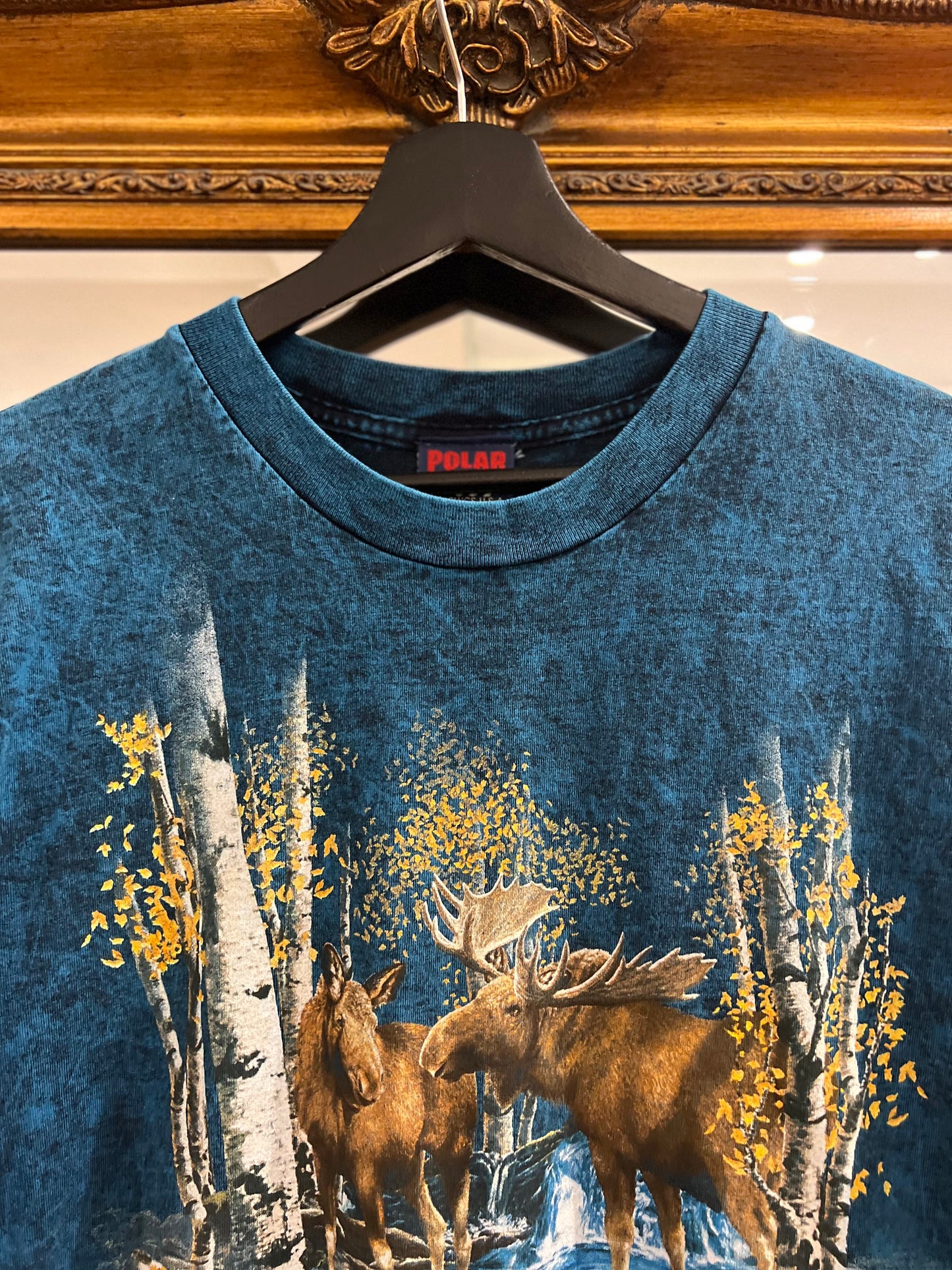 Vintage 90's Alaska T-Shirt (XL)