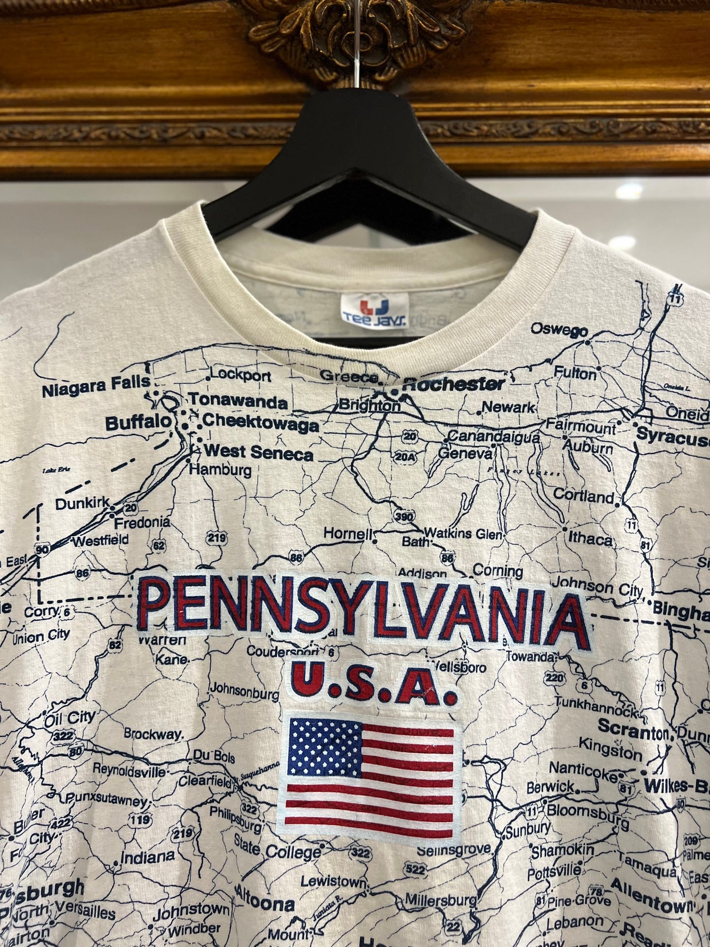 Vintage Pennsylvania USA 90's T-Shirt (L/XL)