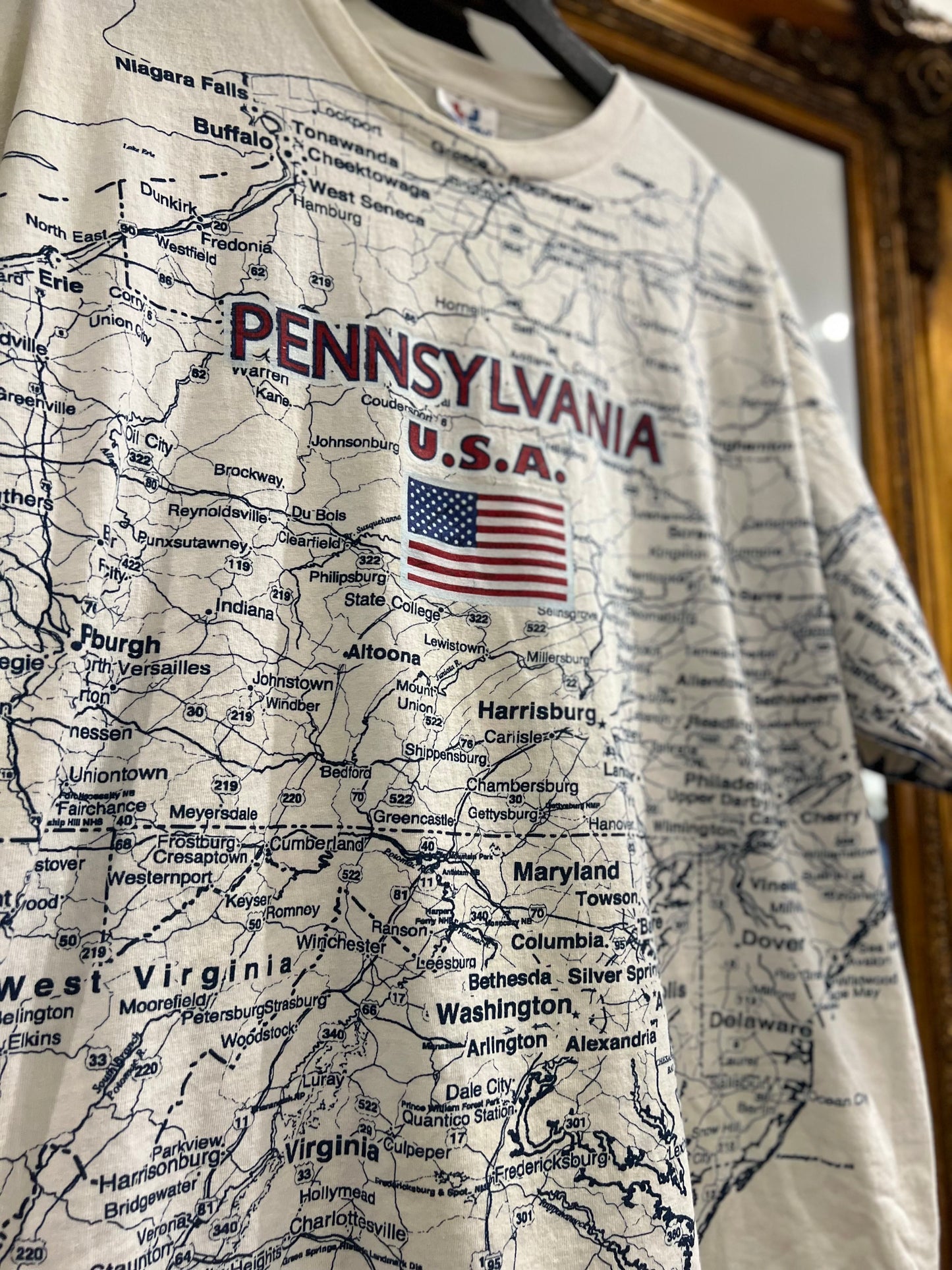 Vintage Pennsylvania USA 90's T-Shirt (L/XL)